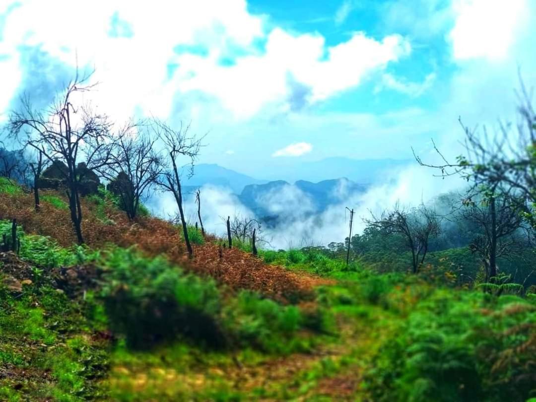 The Place ...The Experience Kodaikanal Exterior foto